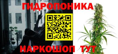 ECSTASY Кулебаки