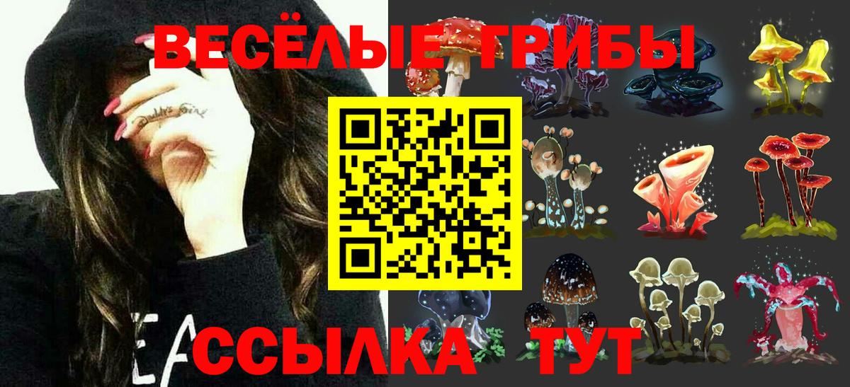 Псилоцибиновые грибы Cubensis Долгопрудный